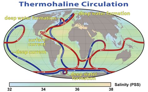 The Thermohaline Circulation - The Great Ocean … - wintechmobiles.com