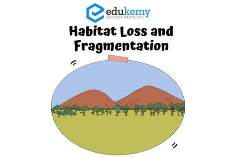 The Threat: Habitat Loss and Fragmentation - Panthera - raincitystudios.com