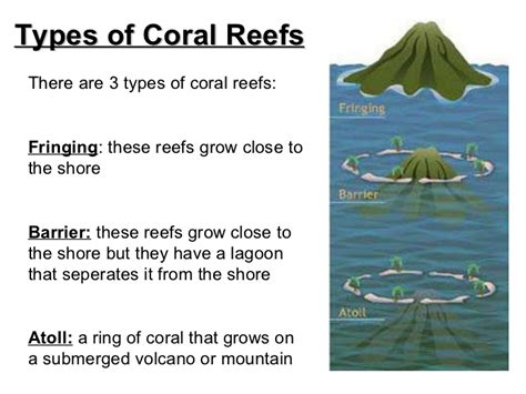 The Three Types of Coral Reefs - National Marine … - muktibox.com