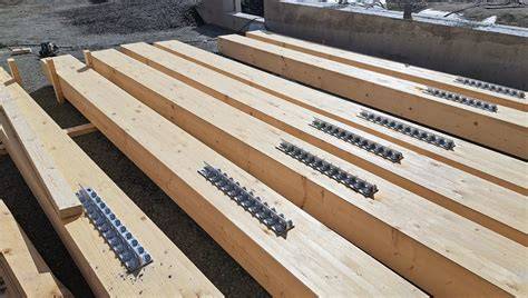 The Timber Logistics Improvement Project - raincitystudios.com