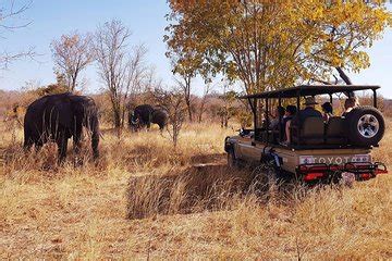 THE TOP 10 Victoria Falls Day Trips (w/Prices) - Viator