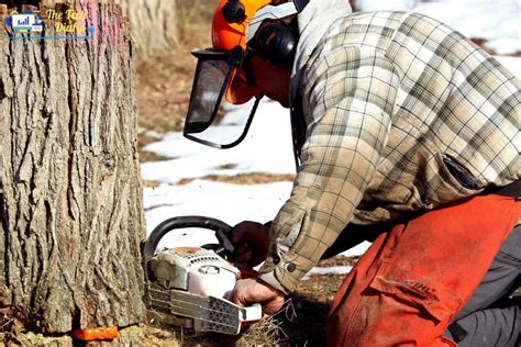 The Top 12 Logging Tools Every Forestry Professional … - balustradellc