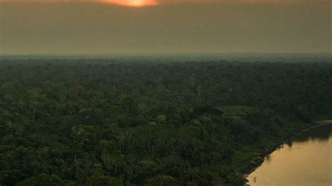 The Top 16 Rainforest Destinations - balustradellc