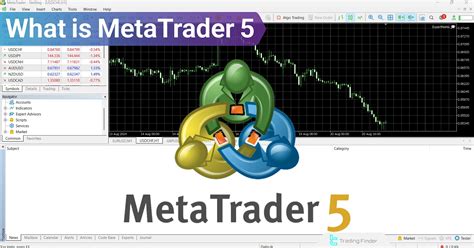The Top 25 Forex Robots for MetaTrader 5 in 2025 - balustradellc