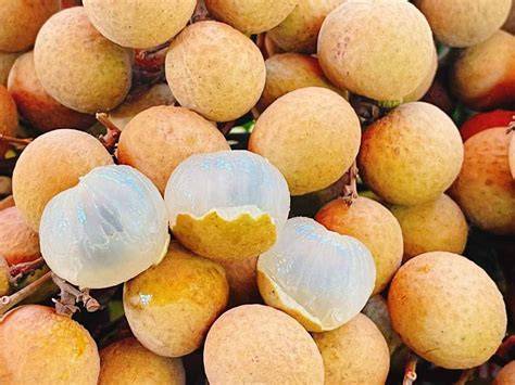 The top 3 best types of longan in Vietnam - raincitystudios.com