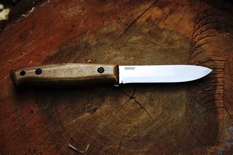 The top 5 survival knives on a low budget - Outdoors Being - balustradellc