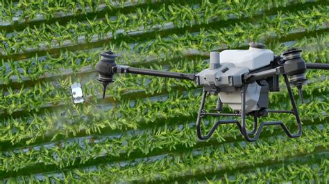 The Top 7 Crop Spraying Drones of 2024: Guide - balustradellc