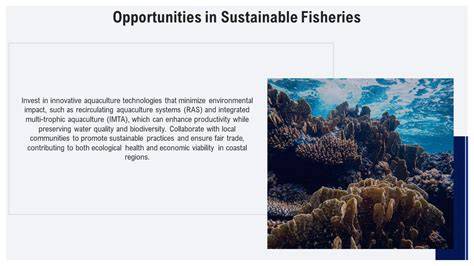 The Top Grant Opportunities for Sustainable Fisheries and Marine ... - raincitystudios.com