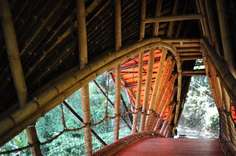 The Top Steps You Need to Start Your Bamboo Project - balustradellc