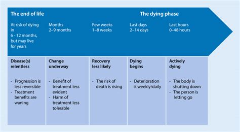 The Transitioning Phase of The Dying Process - balustradellc