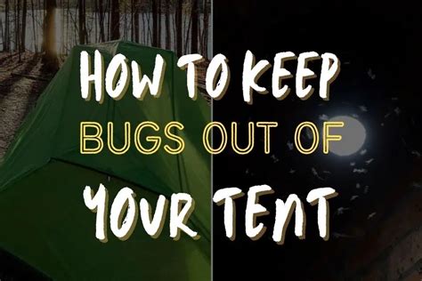 The Trick to Keeping Bugs Out of Your Tent (Without … - balustradellc