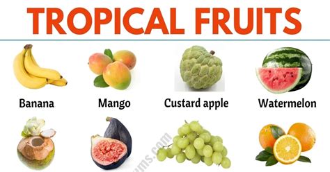 The Tropical Fruit Forum - raincitystudios.com