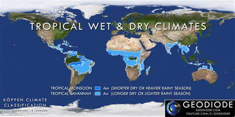 The Tropical Monsoon and Tropical Savannah Climates - raincitystudios.com