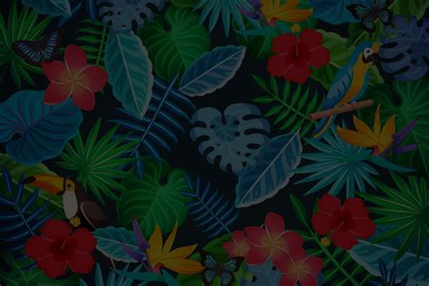 The Tropical Plant Database - Rain-Tree - muktibox.com