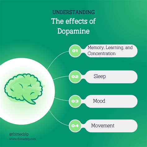 The Truth About Dopamine and Your Brain - balustradellc
