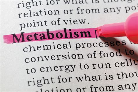 The truth about metabolism - Harvard Health - balustradellc