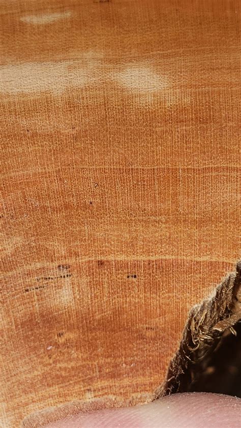 The Truth Behind Wood Identification - balustradellc