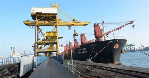 The Tuticorin Port Trust (Licensing of Stevedores) Regulations, 2010 - balustradellc