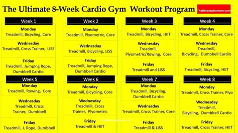The Ultimate 8 Week Gym Workout Plan for Beginners … - balustradellc