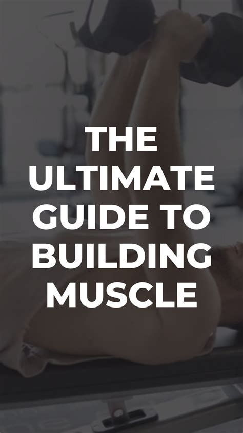 The Ultimate Beginner's Guide to Building Muscle at Home - balustradellc