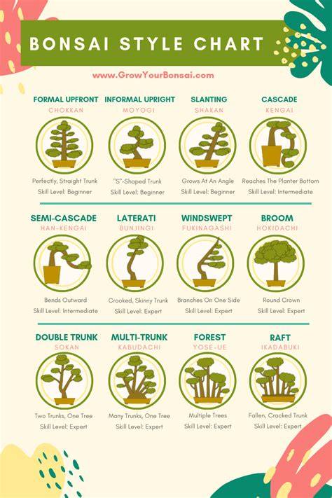 The Ultimate Bonsai Style Chart (With Pictures + Details) - raincitystudios.com