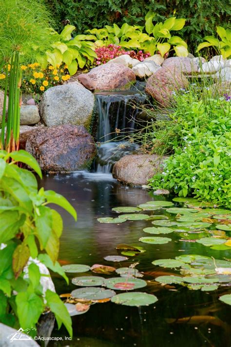 The Ultimate Cliffside Masterpiece: Giant Eagle Koi Pond - balustradellc