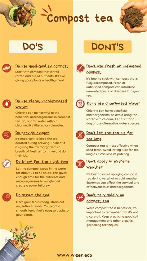 The Ultimate Compost Tea Guide - KiS Organics - raincitystudios.com