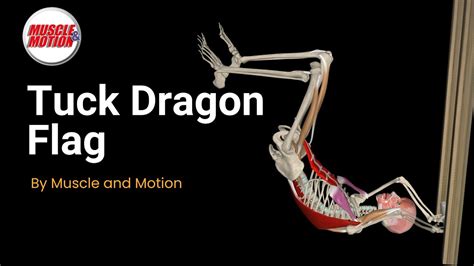 The Ultimate Core Challenge: Master the Tuck Dragon Flag - balustradellc