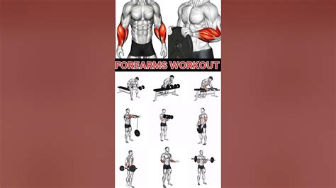 The Ultimate Forearm Routine - Muscle & Fitness - balustradellc