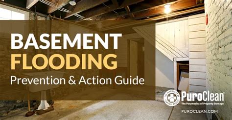 The Ultimate Guide to Basement Flooding Prevention - balustradellc