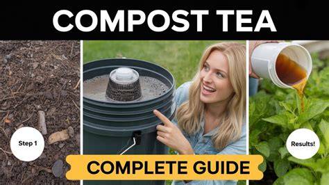 The Ultimate Guide To Brewing Compost Tea - raincitystudios.com