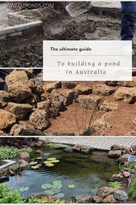 The ultimate guide to building a pond | Ozponds - raincitystudios.com