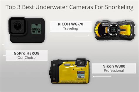 The Ultimate Guide to Choosing the Best Underwater Camera for Snorkeling - balustradellc