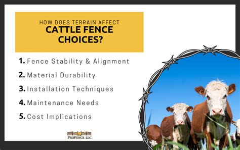 The Ultimate Guide to Choosing the Right Cattle … - balustradellc