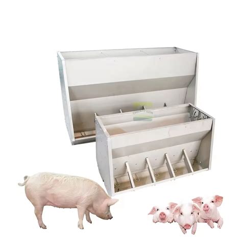 The Ultimate Guide to Choosing the Right Pig Feeder for Your Farm - balustradellc