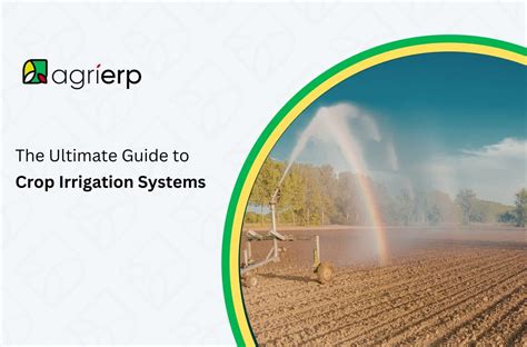 The Ultimate Guide To Crop Irrigation Systems - Farmbrite - raincitystudios.com