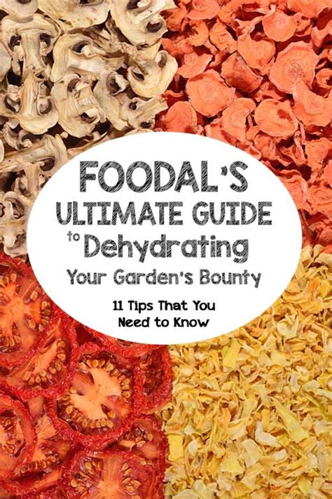 The Ultimate Guide to Dehydrating Your Food | Foodal - balustradellc