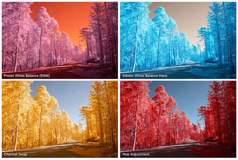 The ultimate guide to digital infrared photography … - balustradellc