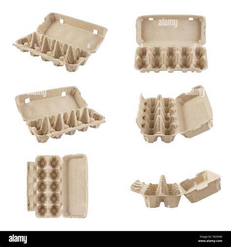 The Ultimate Guide to Eco-Friendly Empty Egg Cartons: Where to Buy ... - raincitystudios.com