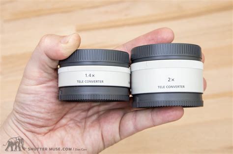 The Ultimate Guide To Extenders Or Teleconverters - Shutter Muse - balustradellc