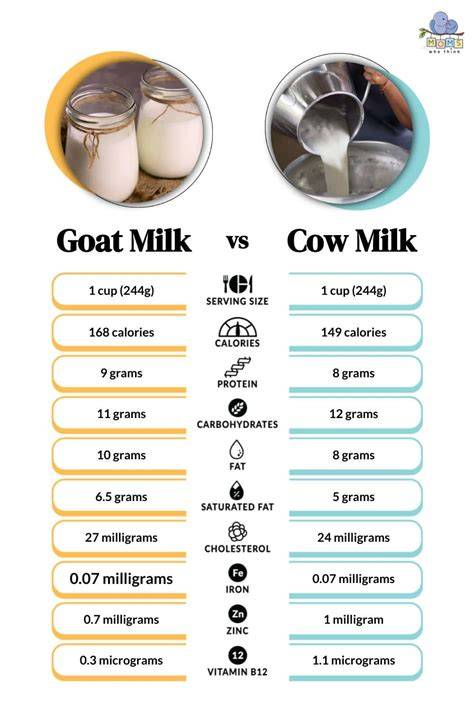The Ultimate Guide to Goat and Cow Milk Dairy Farming - raincitystudios.com