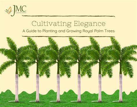 The Ultimate Guide to Growing and Caring for Royal Palm Trees - raincitystudios.com