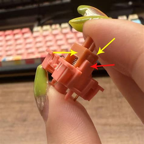 The Ultimate Guide to Lubing Your Mechanical Keyboard Switches - balustradellc