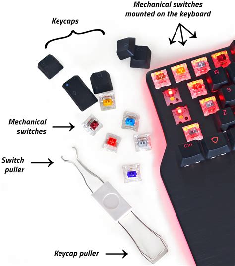 The ultimate guide to mechanical keyboard switches for … - balustradellc