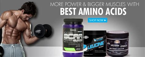 The Ultimate Guide to Muscle Recovery Amino Acids - balustradellc