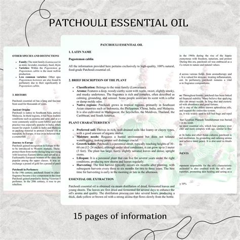 The Ultimate Guide to Patchouli - The Herb Exchange - balustradellc