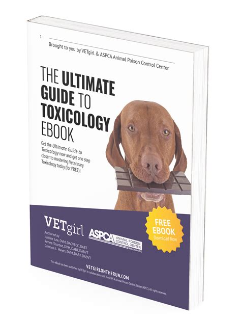 The Ultimate Guide to Poisoning in Toxicology - wintechmobiles.com