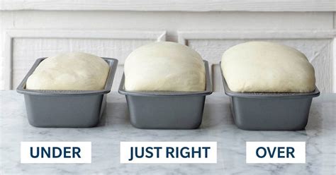 The Ultimate Guide to Proofing Bread Dough - The Perfect Loaf - balustradellc