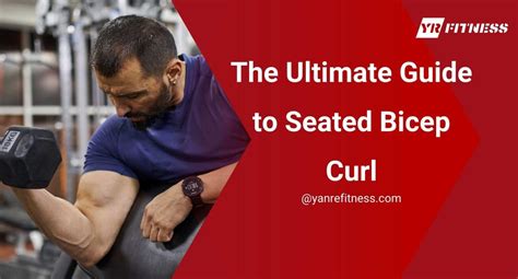 The Ultimate Guide to Seated Bicep Curl - YR Fitness - balustradellc