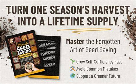 The Ultimate Guide to Seed Saving from Heirloom Vegetables - raincitystudios.com